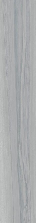 JFP165101-R